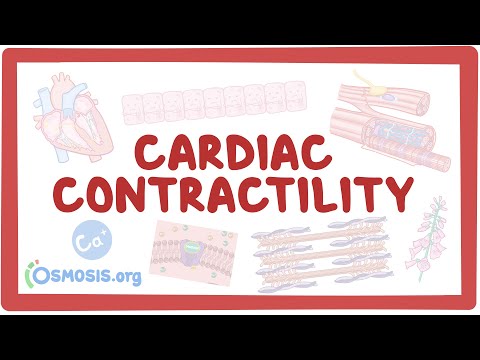 Potassium homeostasis an Osmosis Preview