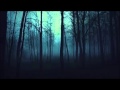 Sonata Arctica - My Dream's But a Drop of Fuel ...