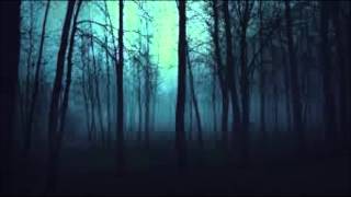 Sonata Arctica - My Dream&#39;s But a Drop of Fuel for a Nightmare (instrumental)