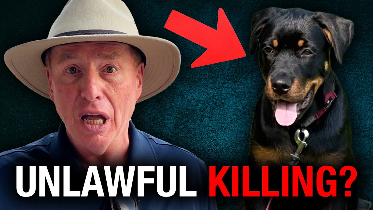Aurora residents furious over the unnecessary death of a dog by the town’s Animal Services officers