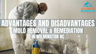Advantages and Disadvantages of Mold Removal & Remediation in Wilmington NC