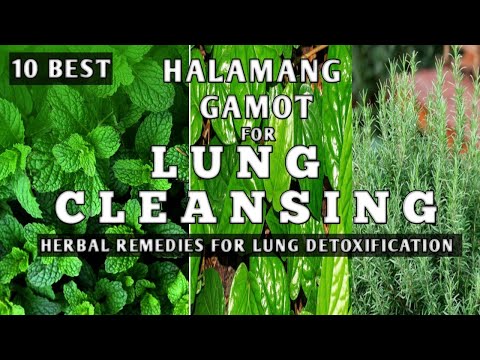 10 BEST HALAMANG PANLINIS SA BAGA || HERBAL REMEDIES FOR LUNG DETOXIFICATION || by: NATURER
