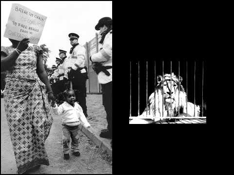 Mutabaruka - Naw Give Up