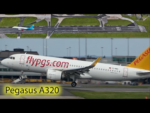 🙃 Get Down Pegasus !!