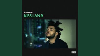 Kiss Land