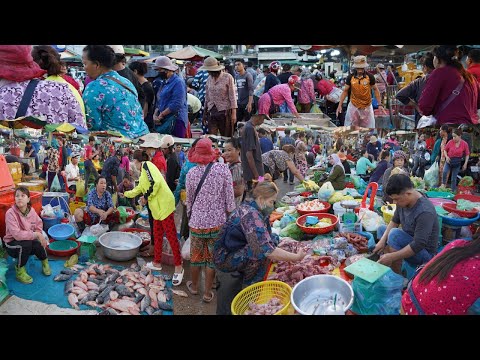 Compilation Fish Market in Phnom Penh - Many Alive Fish, Dry Fish, Seafood & More Fresh Vegetable