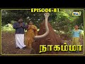 Nagamma Serial Episode 81 RajTv