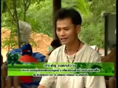 สมาชิกสาวกางเกงเล็ก ๆ น้อย ๆ ภาพค้อนพรู
