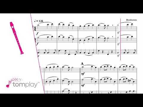 10 Classical Pieces For Learning The Flute With Sheet Music And Piano Or Orchestral Accompaniments