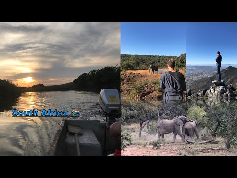 South Africa 🇿🇦 || Zinkwazi Beach Heron Bird || Cape Town Seals || Limpopo Elephants|| May || 2018