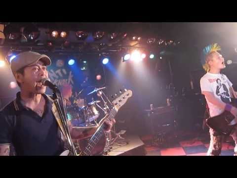 THE DISCOCKS - DRINKING AND DRIVING(THE BUSINESS COVER)