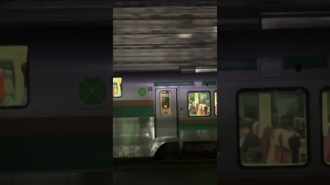 【並走】宇都宮線vs湘南新宿ライン