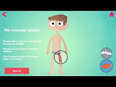 Doctor Justabout - Human body Video