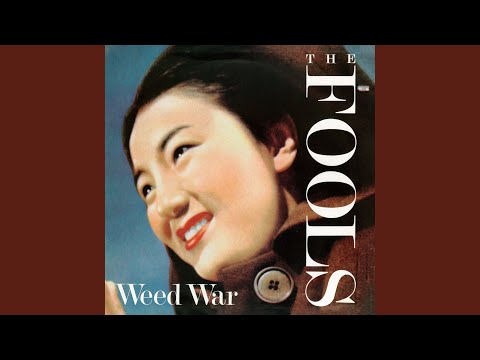 Thunderbird 同期: まだ時間がかかります