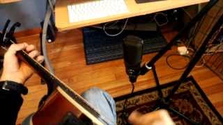 Ryan Miller - New South Wales (Jason Isbell cover) through Google Glass