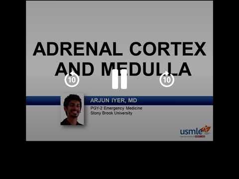 Endocrino USMLE step 1