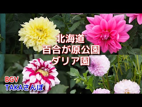 春の始まり: 自然が花開く時期はいつですか?