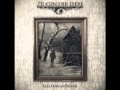 Zeugen der Leere - Der Seelenwanderer 
