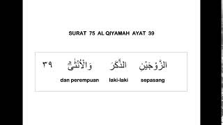 Download lagu 075 SURAT AL QIYAMAH AYAT 39 DAN TERJEMAHAN PER KATA mp3 Download lagu 075 SURAT AL QIYAMAH AYAT 39 DAN TERJEMAHAN PER KATA mp3