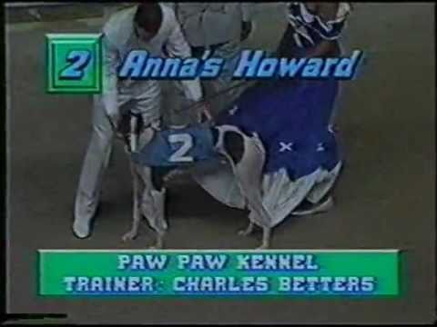 1991 World Classic at Hollywood Florida Greyhound Racetrack