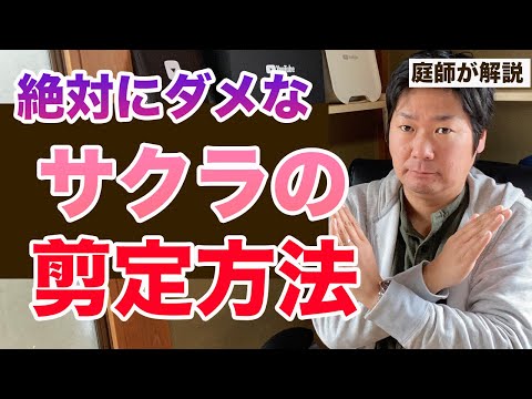 桜の木の堆肥にコーヒーかすを肥料にする方法