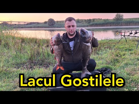 Pescuit la CRAP si NOVAC noaptea  pe lacul GOSTILELE