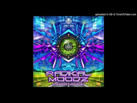 Radikal Moodz - Northwild (Original Mix)