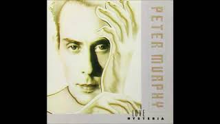 Peter Murphy -- All Night Long