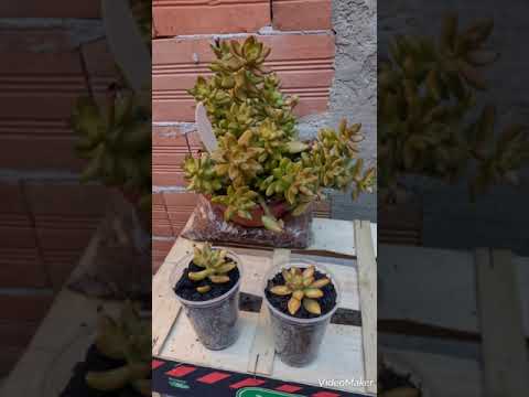 22 de setembro de 2023