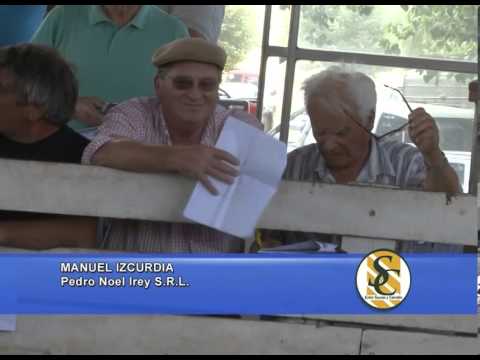 MANUEL IZCURDIA - Pedro Noel Irey S.R.L. - Brandsen