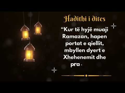 Hadithi 4 - Dita 4