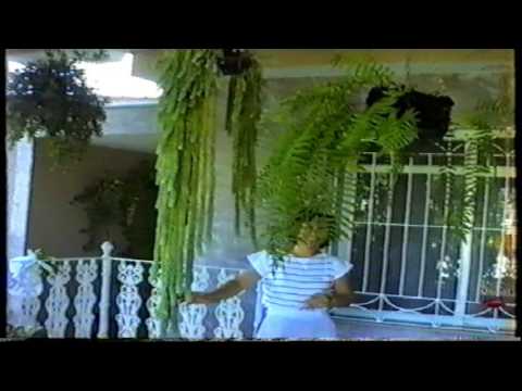 Familia Fernandes de Remondes - Parte 4 (Brasil - Fevereiro 1991)