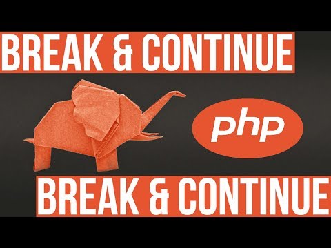 Break Continue in PHP Become a PHP Master 14