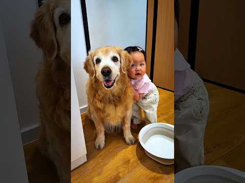 Emily left for the office meeting without eating 😞 #shorts #usa