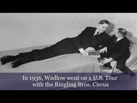 9 FOOTER -THE TALLEST MAN EVER TO WALK THE EARTH - HUMAN BIGFOOT