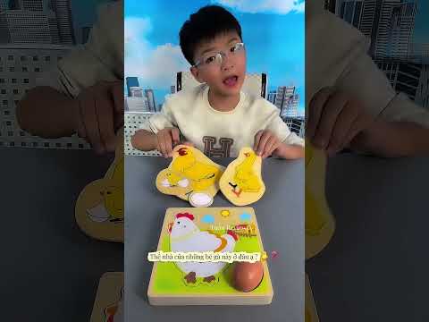 Cho các bé gà về đúng chỗ #baby