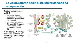 M2-T02_Vía secretoria y endocítica-Epitelios glandulares
