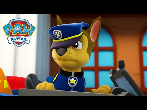 Psi Patrol - Sezon 1 - Odcinek 1 - Chase nie może przestać kichać!