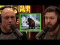 The Company Trying To Clone Woolly Mammoths