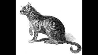 Current 93 - Niemandswasser