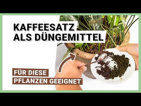 , title : 'Kaffeesatz als Dünger – Für welche Pflanzen geeignet?'