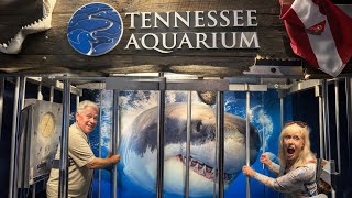 Ultimate Tour & Review of Tennessee Aquarium + Shark Encounter! Chattanooga, Tennessee 