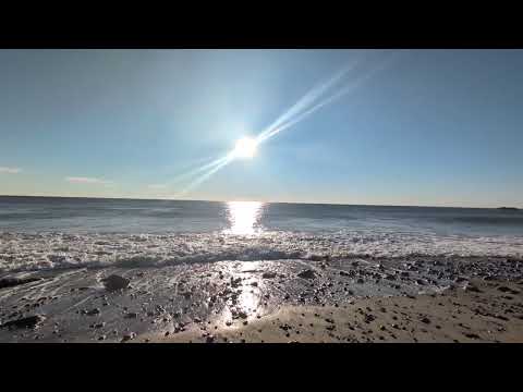 2024 Day 322 of Cocreation