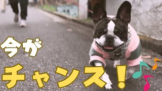 晴れ間を縫って外出します♬