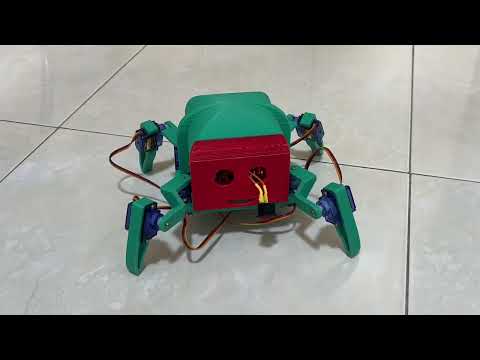 Spider Robot Demo