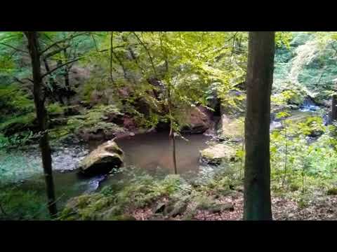 Spaziergang an der Wesenitz Elbersdorf Dürrröhrsdorf-Dittersbach