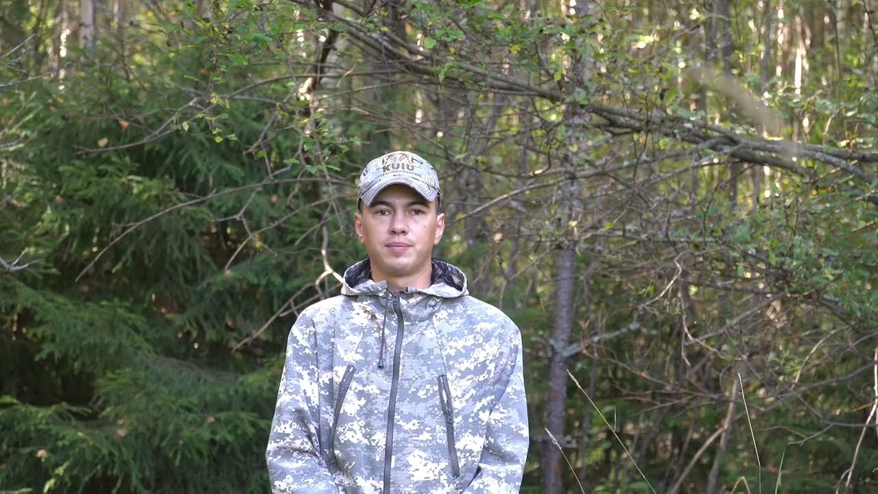 Как правильно воспитать щенка лайки для охоты: мой опыт.