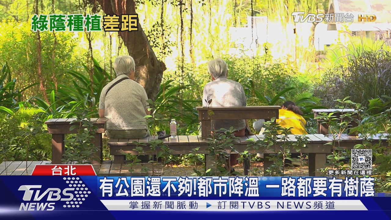 都市綠化不再只看面積!專家倡「人行遮陰路徑」成降溫關鍵