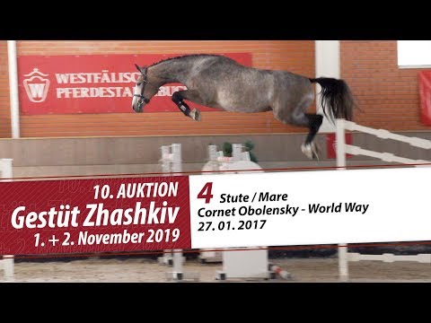 04 Stute / Mare v. Cornet Obolensky - World Way