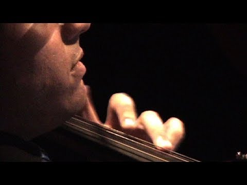 Portland Cello Project feat. Don Henson  
